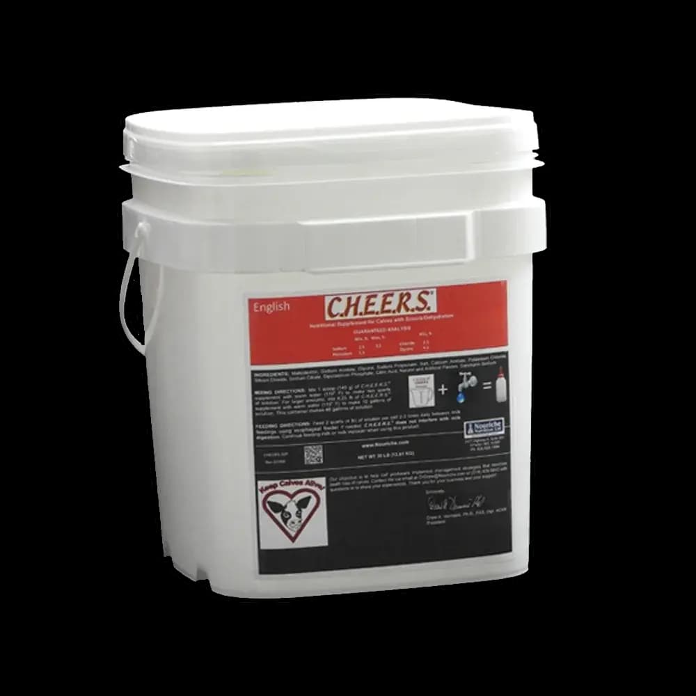 C.H.E.E.R.S. electrolyte rehydration solution pail